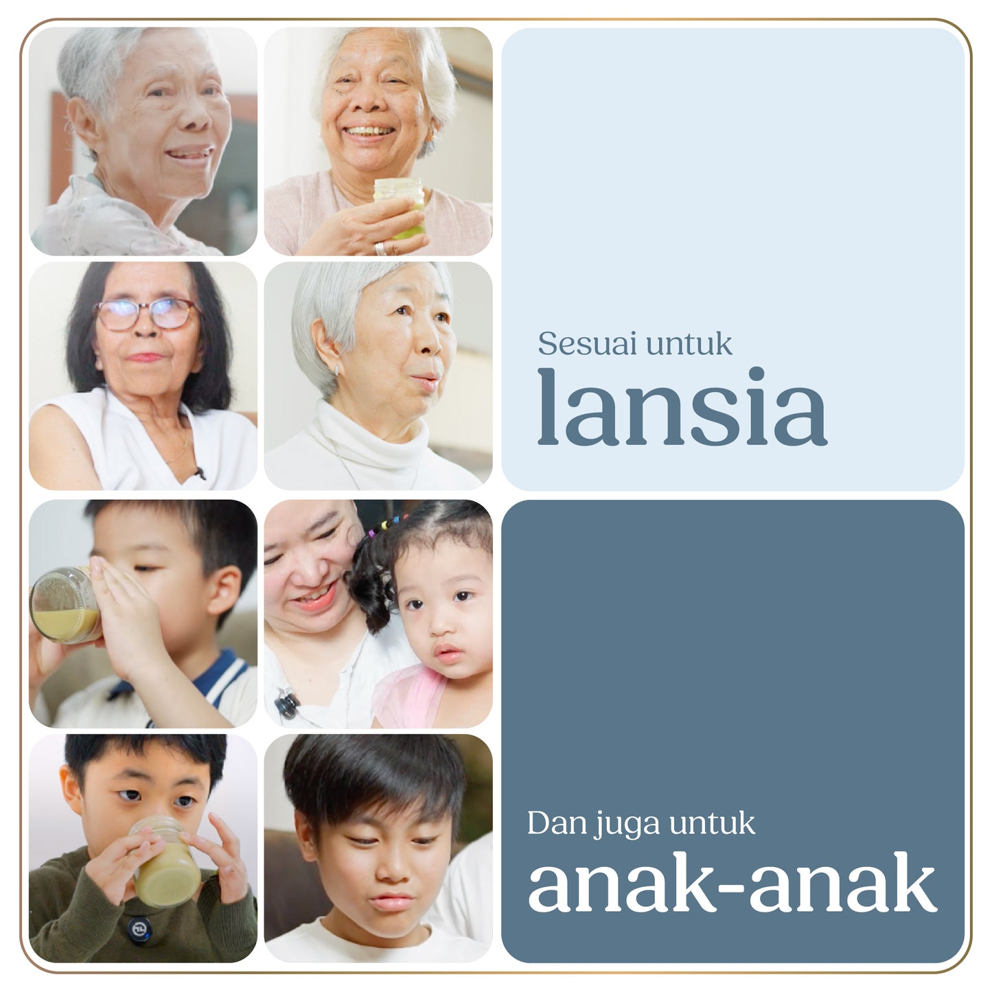 Ikan Sidat