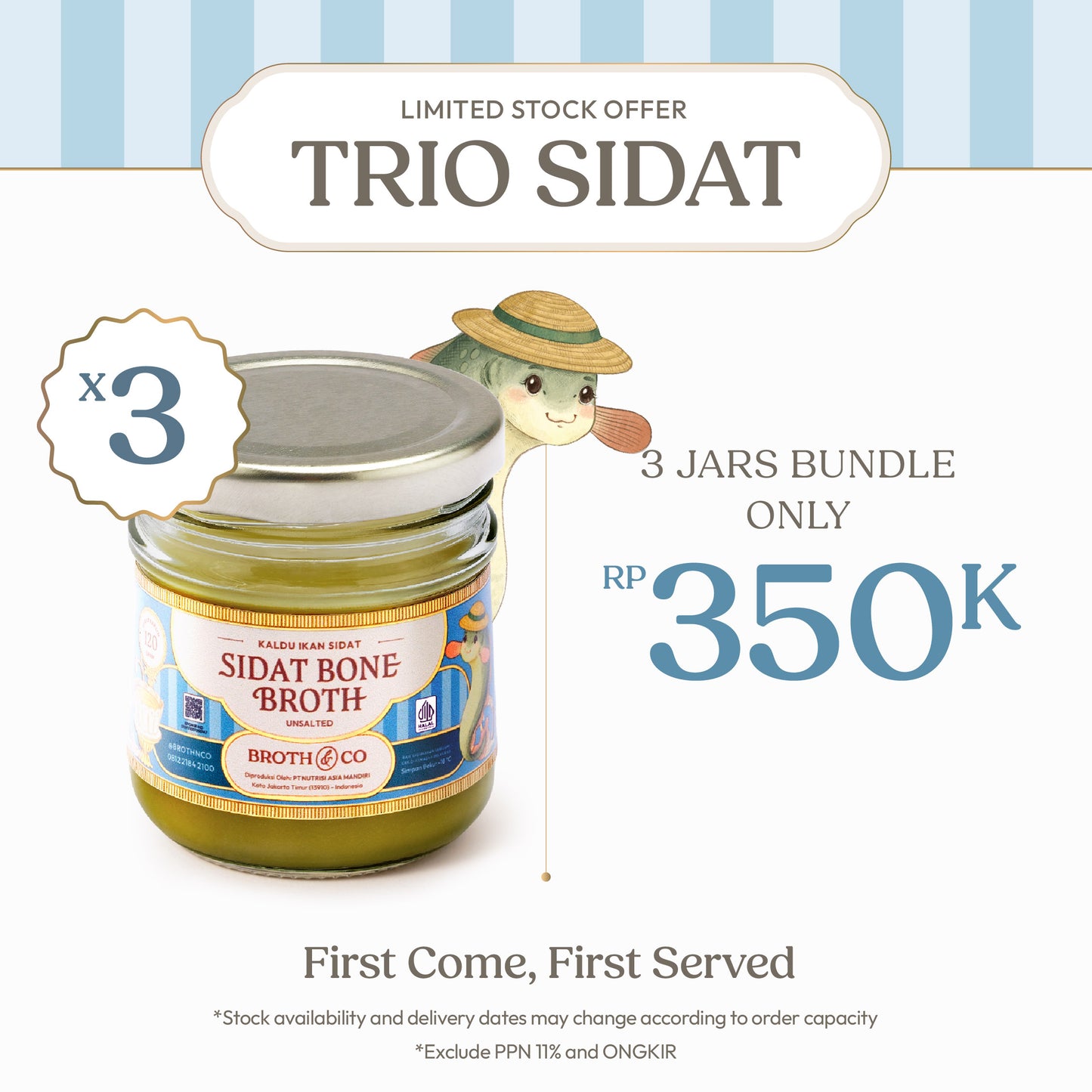 Ikan Sidat