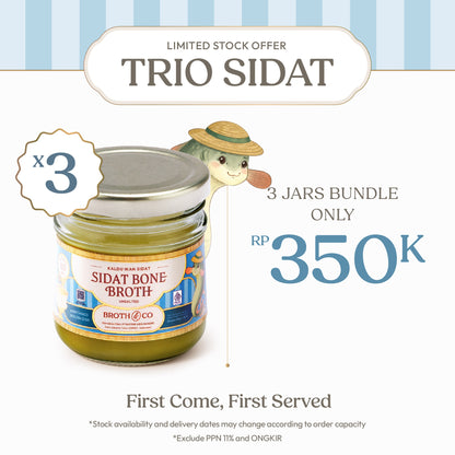 Ikan Sidat