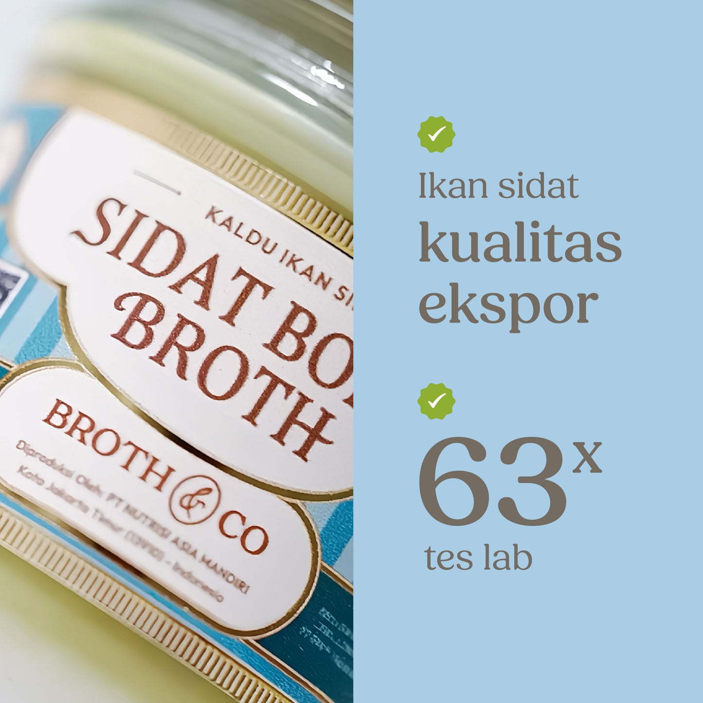 IKAN SIDAT